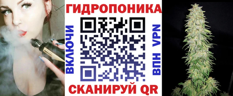 A PVP Урюпинск