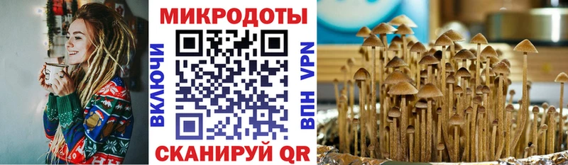 купить закладку  Урюпинск  Галлюциногенные грибы Magic Shrooms 